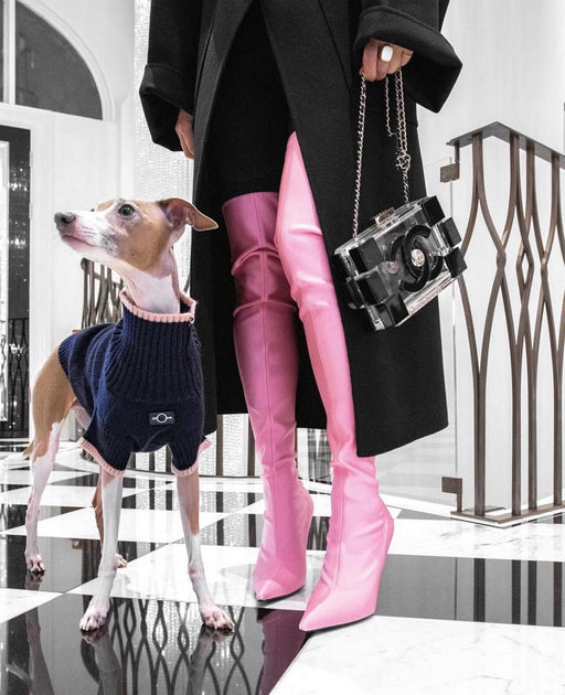 Paws and Couture: Unveiling the Latest Trends in Luxury Pet Fashion – OVERGLAM LONDON