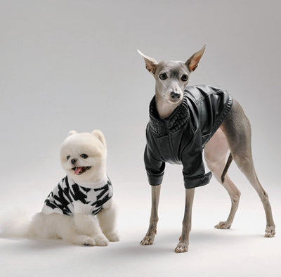 Customized Canine Couture: The Rise of Personalized Pet Fashion