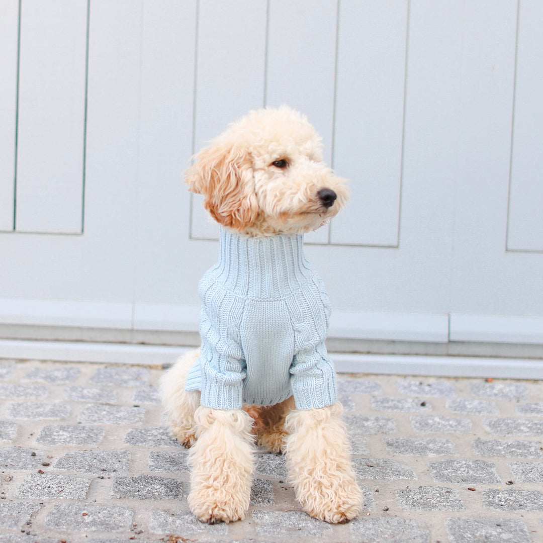Poodle Wearing Turtleneck Turtleneck Knitwear – OVERGLAM