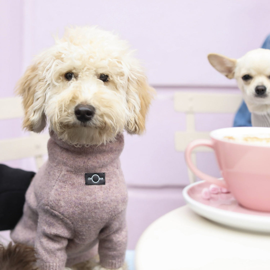 Poodle turtleneck top