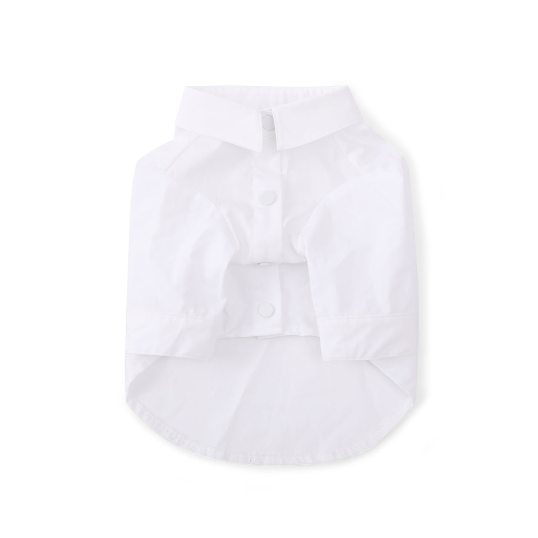 Plain white dog shirt sale